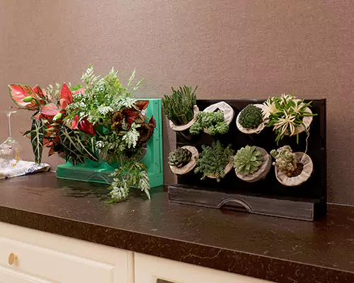 Os vasos coloridos fazem minhas plantas parecerem que estão de férias todos os dias