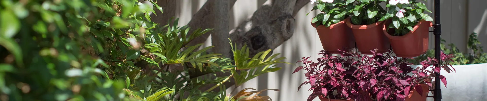 Jardim vertical de jardinagem ecológica