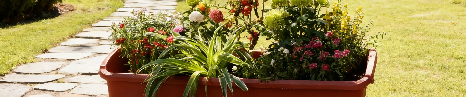 Caixa para plantador