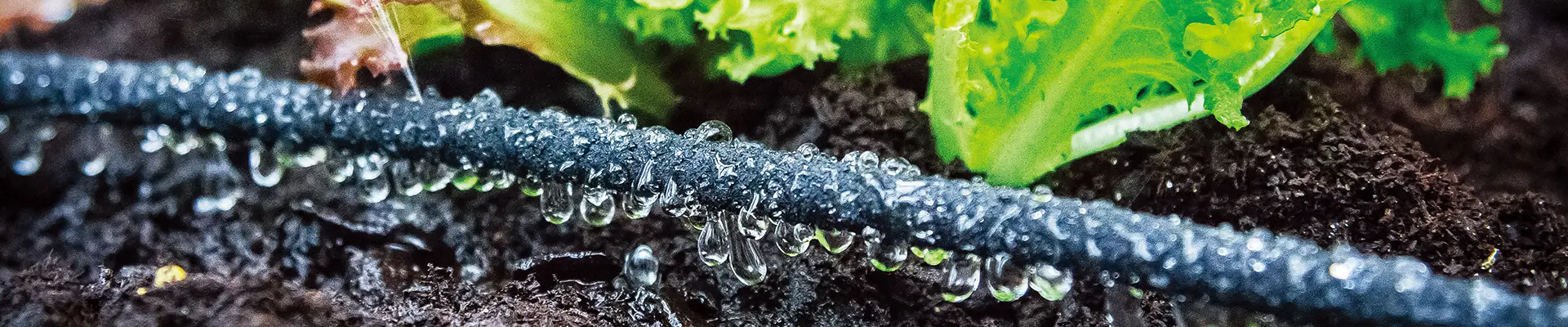 Kit de irrigação faça você mesmo