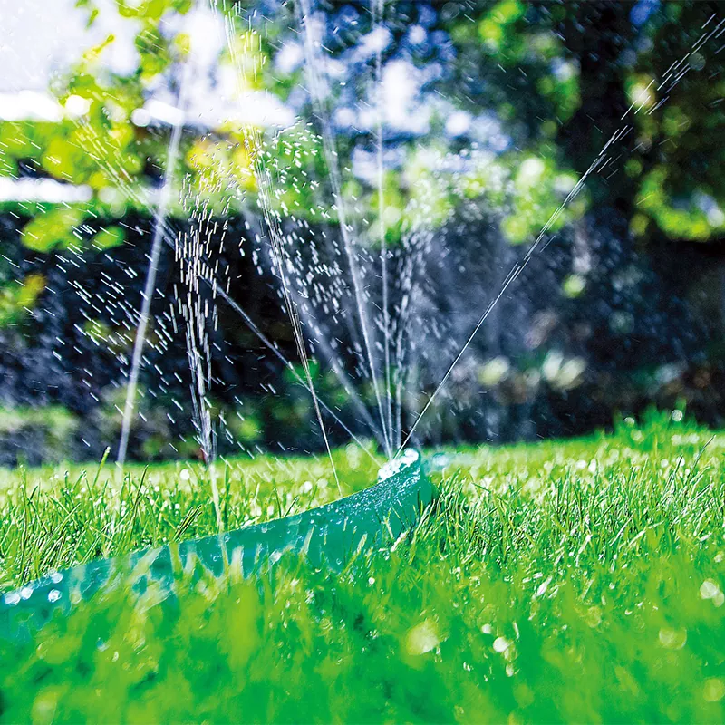 Mangueira de imersão de jardim