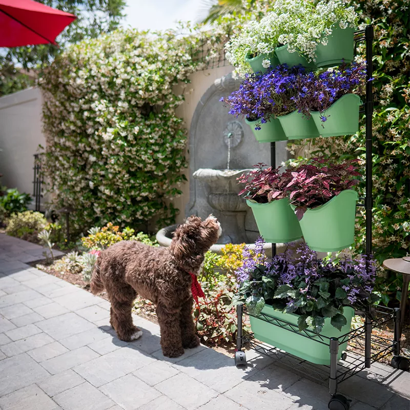 Estrutura dupla de parede verde móvel de metal Estrutura dupla de parede verde móvel de metal